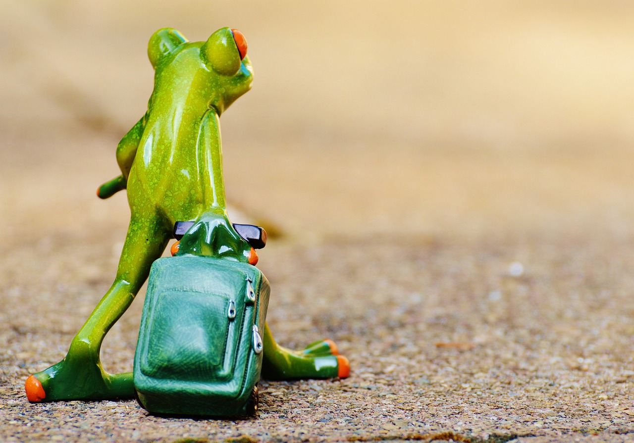 découvrez conseils, astuces et inspirations pour organiser vos voyages, explorer de nouvelles destinations et vivre des expériences inoubliables à travers le monde.