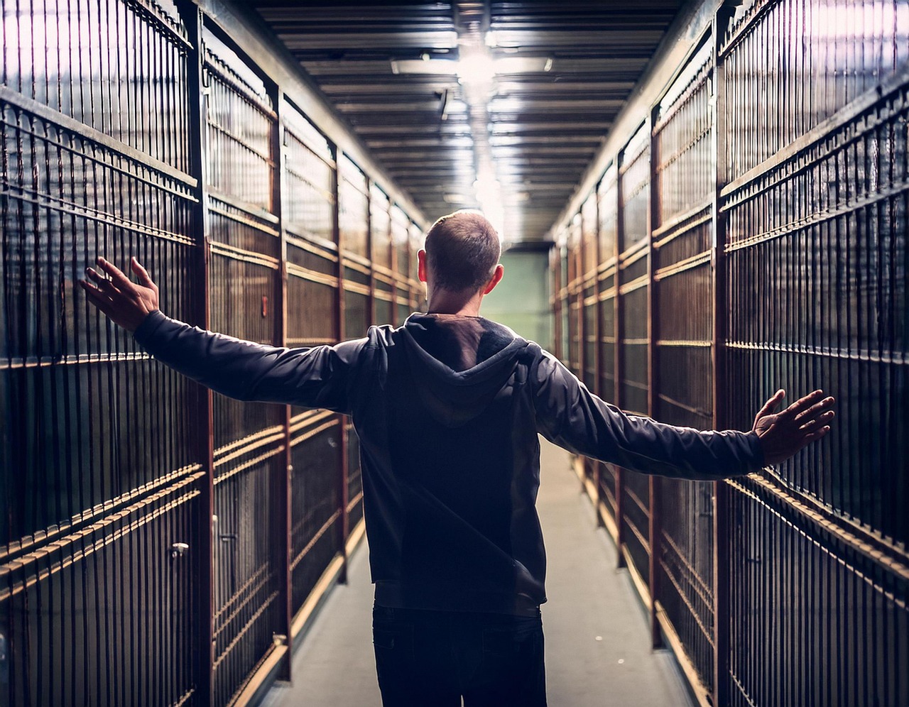 découvrez tout ce qu'il faut savoir sur le licenciement : définitions, procédures, droits des employés et conseils pratiques pour naviguer au mieux dans cette situation délicate.